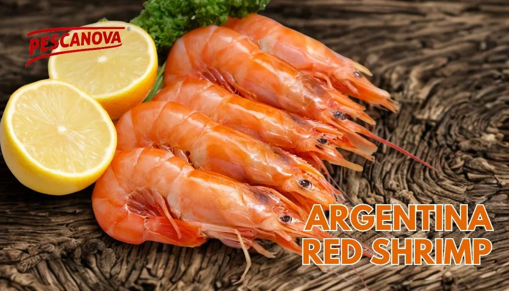 Argentina Red Shrimp